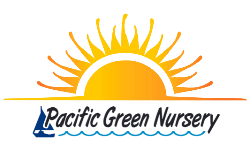 pacific green nursery